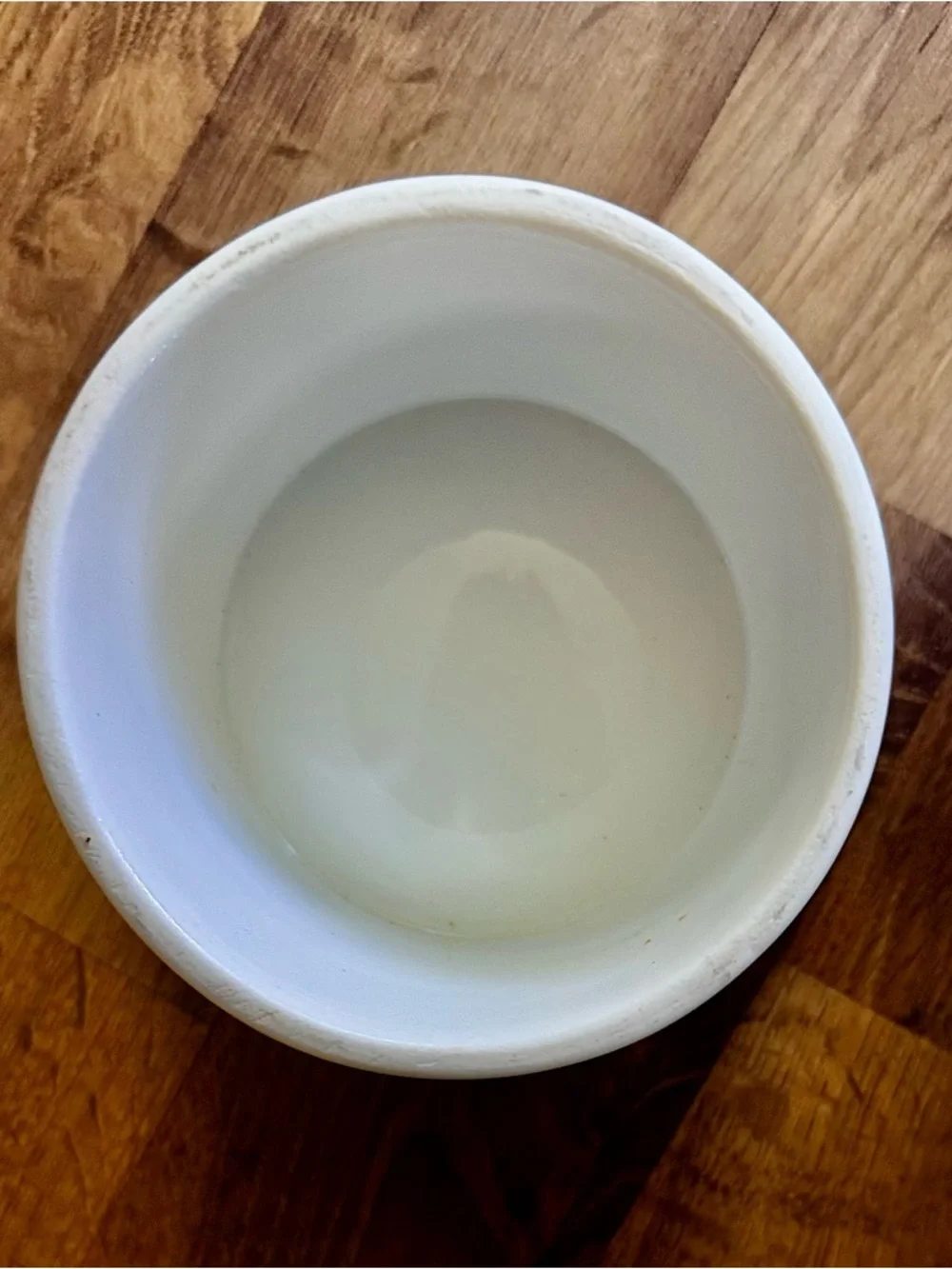 White Ceramic Pet Food Bowl with Fish Bone Design